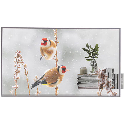 LG 55EW5P-M 55" Transparent OLED Signage
