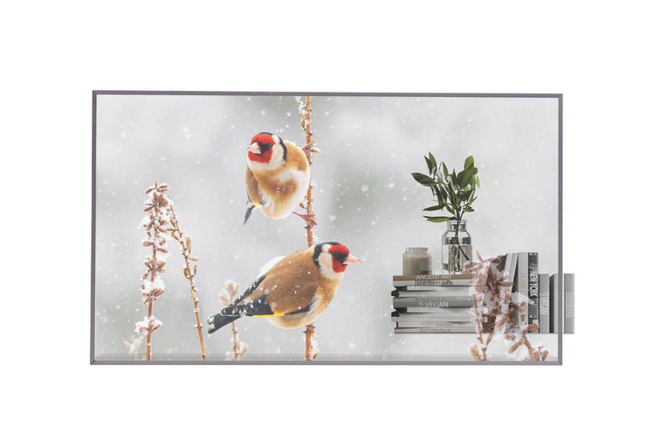 LG 55EW5P-M transparent OLED signage