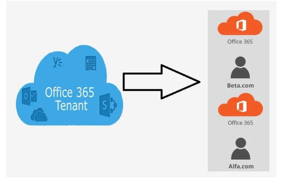 How To Find Your Existing Microsoft 365 Tenant Domain Name - SourceIT