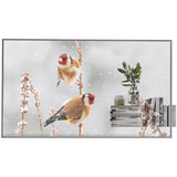 LG 55EW5P-M 55" Transparent OLED Signage