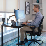 Ergotron LX Desk Mount Monitor Arm Matte Black (45-241-224) - view 4
