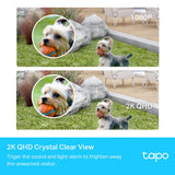 TP-Link Tapo C420S2 Smart Wire-Free Security Camera System, 2-Camera System — product view 3