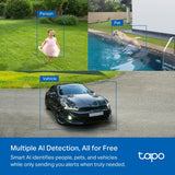 TP-Link Tapo C425 KIT Smart Wire-Free Security Camera and Solar Panel — product view 6