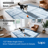 TP-Link Tapo C245D Dual Lens Pan/Tilt Security Camera — product view 5