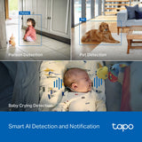 TP-Link Tapo C260 Pan/Tilt AI Home Security Wi-Fi Camera — product view 9