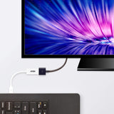 ATEN VC980 Mini DisplayPort male connector