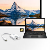 ATEN VC981 HDMI female output
