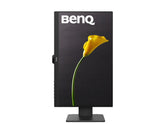 BenQ Essential GW2485TC 23.8" 16:9 IPS Monitor - SourceIT