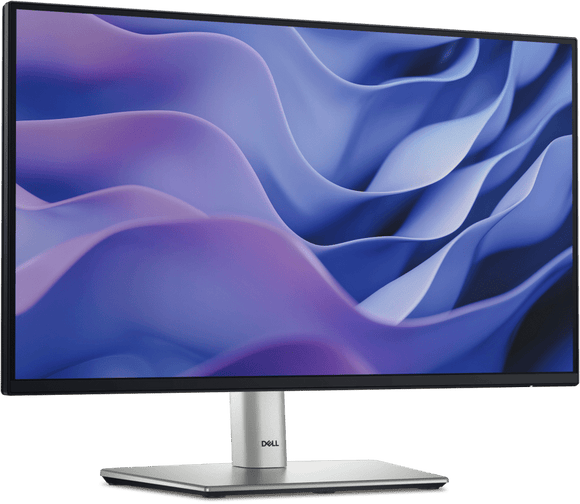 Dell Pro 22 Plus FHD Monitor (P2225H)