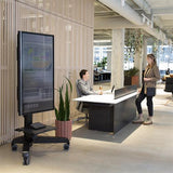 Ergotron Neo - Flex Ultra Heavy Duty Mobile MediaCenter Stand (24 - 192 - 085)