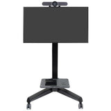Ergotron Neo - Flex Ultra Heavy Duty Mobile MediaCenter Stand (24 - 192 - 085)