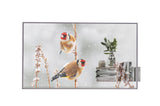 LG 55EW5P-M transparent OLED signage