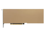 NVIDIA RTX PRO™ 6000 Blackwell Server Edition