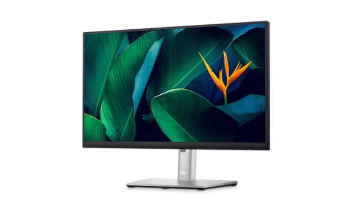 Dell 22-inch USB-C Hub Monitor (P2223HC) | SourceIT – SourceIT