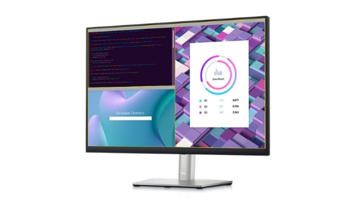 Dell P2423 24