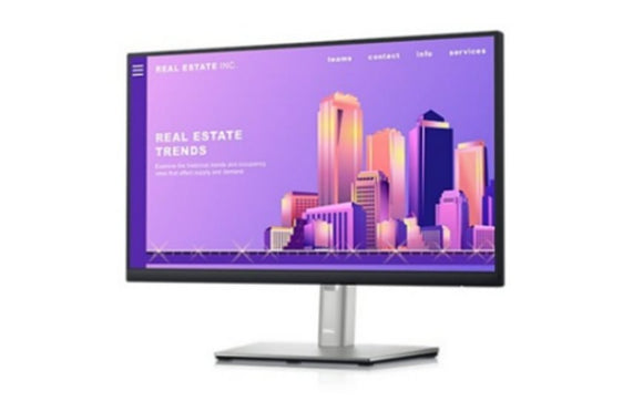 Dell 24 Monitor P2422H - 3 Year Local Warranty - SourceIT Singapore