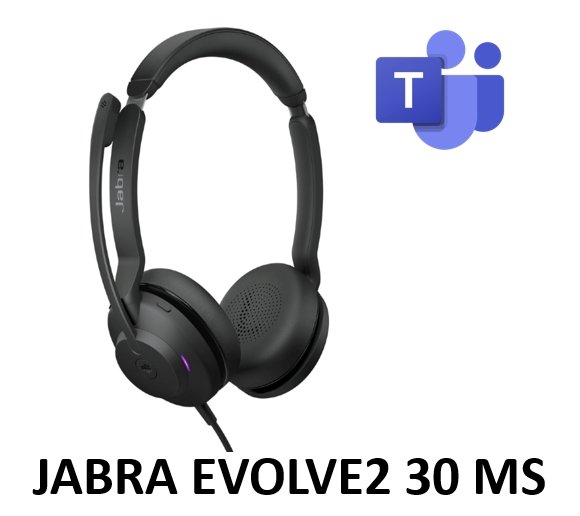 Jabra Evolve2 30 Mono/Stereo Office Headset Black (USB-A/C) | SourceIT